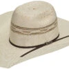 Twister Men's Bangora Straw Cowboy Hat