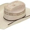 Twister Youth Cowboy Hat-T71634 -Western Cowboy Equipment 615mPVHYqtL. AC UX425