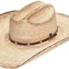 ARIAT Mens Fired Palm Leaf Western Hat -Western Cowboy Equipment 619nuNwpaHL. AC UX569 1