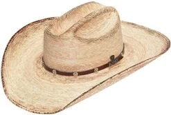 ARIAT Mens Fired Palm Leaf Western Hat