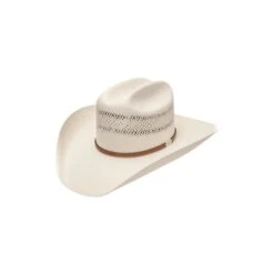 Resistol Colt 10X Cowboy Hat RSCOLT-3042