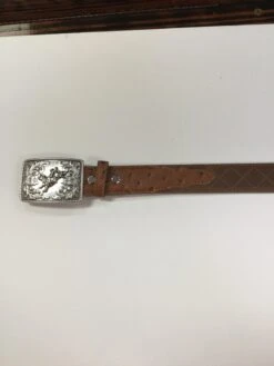 Nocona Boys Cognac Ostrich Belt N4440208