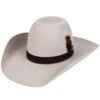 Bailey Conway 2X Mist W2103C -Western Cowboy Equipment w2103c bailey western conway western mist 1 9 1